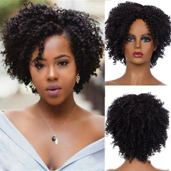 Amir Hair Synthetic Kinky Curly Short Afro Wig for Women - Black & Brown Fluffy Curls - Free Delivery Worldwide only at Flexi Africa