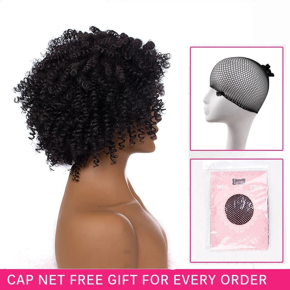 Amir Hair Synthetic Kinky Curly Short Afro Wig for Women - Black & Brown Fluffy Curls - Free Delivery Worldwide only at Flexi Africa