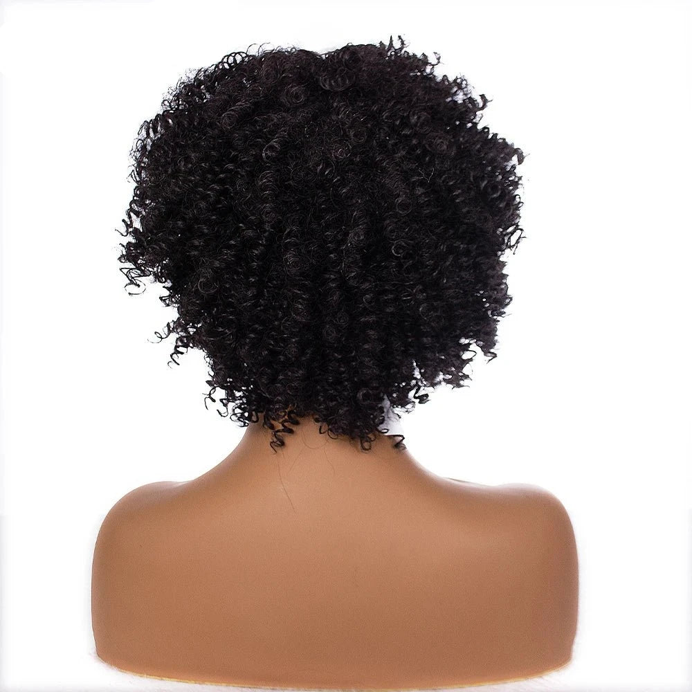 Amir Hair Synthetic Kinky Curly Short Afro Wig for Women - Black & Brown Fluffy Curls - Free Delivery Worldwide only at Flexi Africa