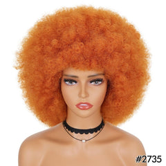 Short Fluffy Afro Kinky Curly Wig with Bangs: Synthetic Ombre Glueless Wig - Flexi Africa - Free Delivery www.flexiafrica.com