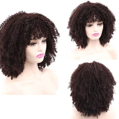 Short Hair Afro Kinky Curly Wigs Soft Curls Hair with Bangs Natural Heat Resistant Synthetic Cosplay Wigs - Free Delivery Worldwide only at Flexi Africa